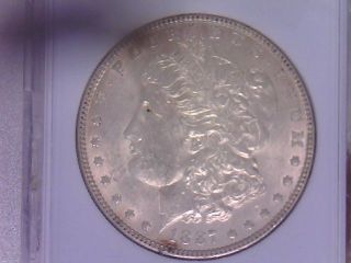 1887 Ms +++++ Gem Bu Morgan Silver Dollar - Very Attractive photo
