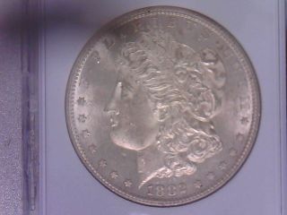 1882 S Ms +++++ Dmpl Gem Bu Morgan Silver Dollar - Very Attractive photo