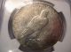 1926 Silver Peace Dollar. . . .  Ms 63. . .  Graded By Ngc. . . . .  Take A Look Dollars photo 3