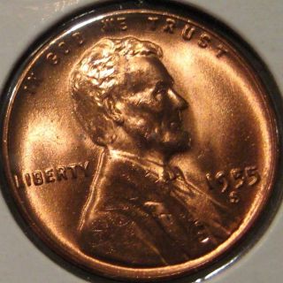 1955 - S Lincoln Cent Coin Bu Unc Ms C11 photo
