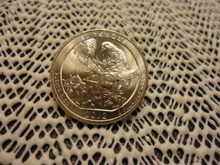 2012 - P El Yunque America The Quarter. . . .  Looking Coin photo