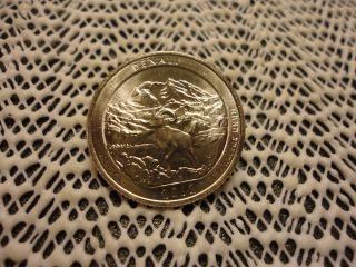 2012 - P Denali America The Quarter. . . .  Looking Coin photo