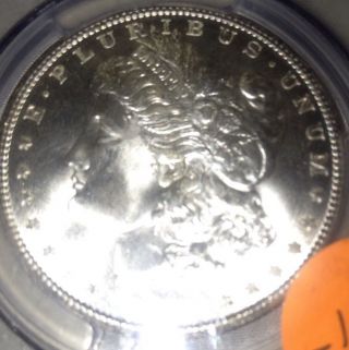 1899 O Morgan Silver Dollar Pcgs Ms64+ Stunning Coin photo