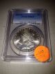 1899 O Morgan Silver Dollar Pcgs Ms64+ Stunning Coin Dollars photo 1