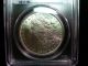 1882 Morgan Silver Dollar Pcgs Ms64 Coin Dollars photo 1