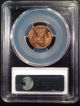 1955 - D Lincoln Wheat One Cent Pcgs Ms66+rd  28600741 Small Cents photo 1