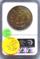 1886 Ngc Ms 65 Morgan Silver Dollar - Toning - M1s Kq150 Dollars photo 1