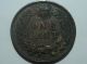 1900 Indian Head Cent Brown - Uncirculated Bid Now Small Cents photo 1