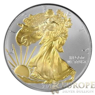 2014 American Silver Eagle Coin 1 Oz Ounce 999 Silver Gold Gilded 24k Rare photo