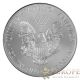 2014 American Silver Eagle Coin 1 Oz Ounce 999 Silver Gold Gilded 24k Rare Silver photo 1