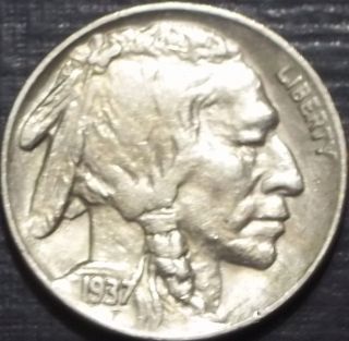 Rare 1937 - S Buffalo Nickel Full Date + Full Horn Quality Coin Look photo