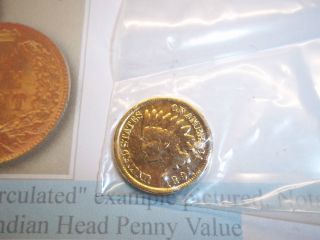 1891 Indian Head Cent - - 24 Karat Gold Plated F Or Vf photo