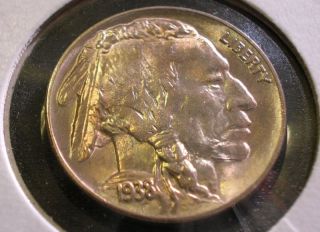 1938 - D Buffalo Nickel.  Gem Uncirculated Coin. photo