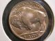 1938 - D Buffalo Nickel.  Gem Uncirculated Coin. Nickels photo 1