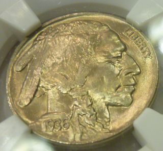 1936 Buffalo Nickel (ngc Graded) Struck In Luster Strong Ms 66 photo