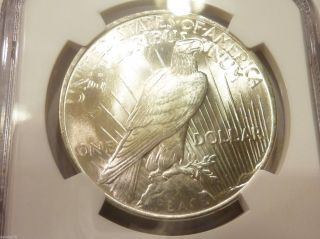 1924 Peace Dollar (ngc Graded) Struck In Frosty White Ms 66 photo