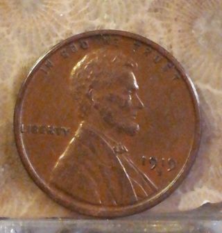 1919 - S 1c Bn Lincoln Cent Coin Strong Strike. photo