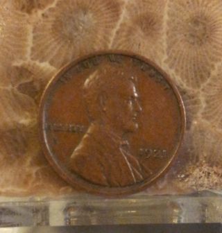 1921 1c Bn Lincoln Cent,  Sweet Color Little Wear. photo