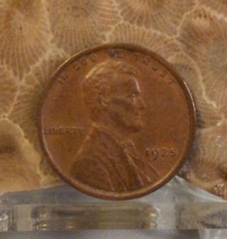 1925 1c Bn Lincoln Cent Coin To Buy At A Good Price Good Looking Coin photo