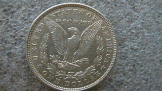 Morgan Silver Dollar 1921 - P 101 photo