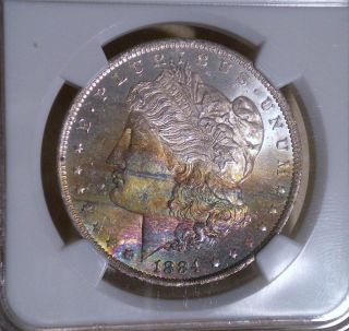 1884 - O Morgan Silver Dollar Graded Ms64 By Ngc,  Color Toned Star photo