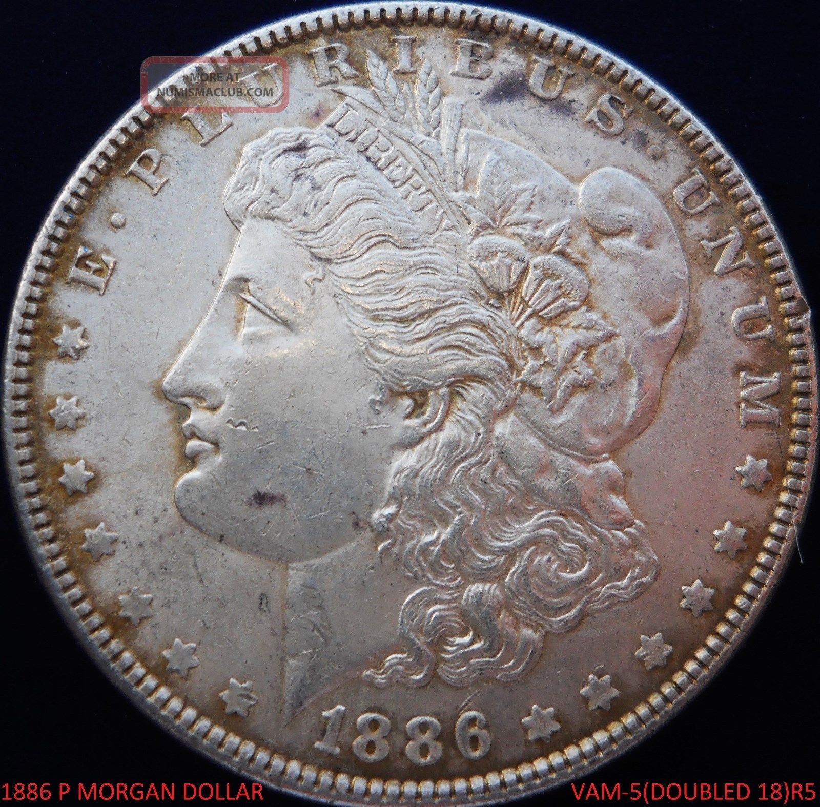 1886 P Morgan Dollar Vam - 5 (doubled " 18 ") R5 Rarity Detail