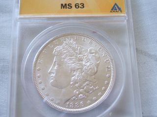 1886 Bu Morgan Silver Dollar - Ms63 Anacs Graded - photo