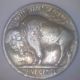1924 - D (vf) Buffalo Nickel Nickels photo 1