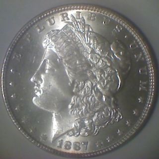 1887 (chbu) Morgan Dollar photo