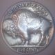 1915 - D (vf) Buffalo Nickel Nickels photo 1
