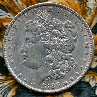 Dollar Morgan 1886,  Brilliant Uncirculated Plus,  Specimen Coin photo