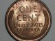 Wheat Penny 1920 Gem Red Bu 1920 - P Unc Lincoln Cent Ms+++ Full Red Unc Luster Small Cents photo 8