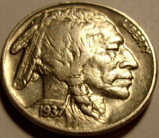 1937 - D Buffalo Nickel Coin photo