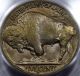 1928 - D Buffalo Nickel Gem Bu Pcgs Ms - 64. . .  And So Awesome Pq Coin Nickels photo 1