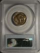1928 - D Buffalo Nickel Gem Bu Pcgs Ms - 64. . .  And So Awesome Pq Coin Nickels photo 3