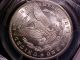 1884 - Cc Morgan Silver $1 Dollar Frosty Pcgs Ms65+ 65+ Awesome Carson City M650 Dollars photo 6