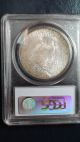 1928 S Peace Silver Dollar Pcgs Ms63 $1 Liberty Coin Toning Dollars photo 1
