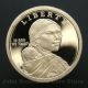 2013 - S Native American Sacagawea Dollar - Gem Proof Deep Cameo U.  S.  Coin Dollars photo 1
