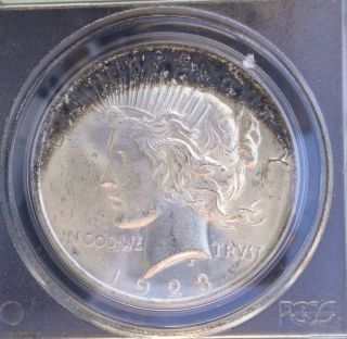 1923 - Peace Silver Dollar Certified By Pcgs Ms64 In (ogh) Unique Patina photo