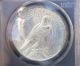 1923 - Peace Silver Dollar Certified By Pcgs Ms64 In (ogh) Unique Patina Dollars photo 2