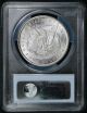 1884 - Cc Morgan Dollar $1 Ms 63+ Plus Pcgs Gsa Pedigree Dollars photo 1