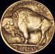1919 - S Buffalo Nickel,  Rare In Circulated Ef Nickels photo 1