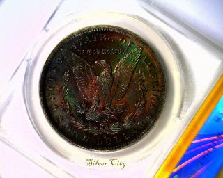 Ms63 Anacs Beautifully Toned 1884o Morgan Silver Dollar U.  S.  Coin 1884 O photo