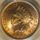 1905 Indian Head Cent Pcgs Ms 66 Rd.  Lustrous Orange 1 Of 46 In 66 And 1 Finer Small Cents photo 1