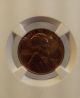 1941 1c Lincoln Cent Ms 65 Rd Ngc Coins: US photo 1