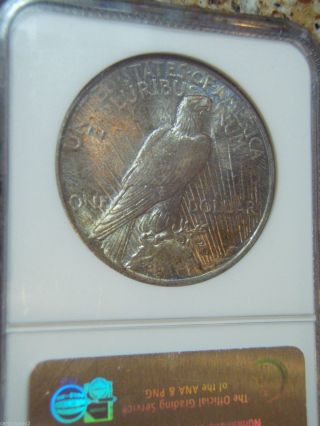1923 - P Ngc Ms63 Toned Silver Peace Dollar photo