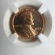1964 1c Ngc Pr68rd Red Proof Lincoln Penny Cent Small Cents photo 1