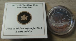 2013 Proof $10 O Canada - Polar Bear.  9999 Silver Coin & Only photo