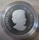 2013 Proof $10 O Canada - Polar Bear.  9999 Silver Coin & Only Coins: Canada photo 2