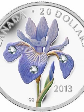 2013 $20 Fine Silver Coin - Iris Versicolor photo